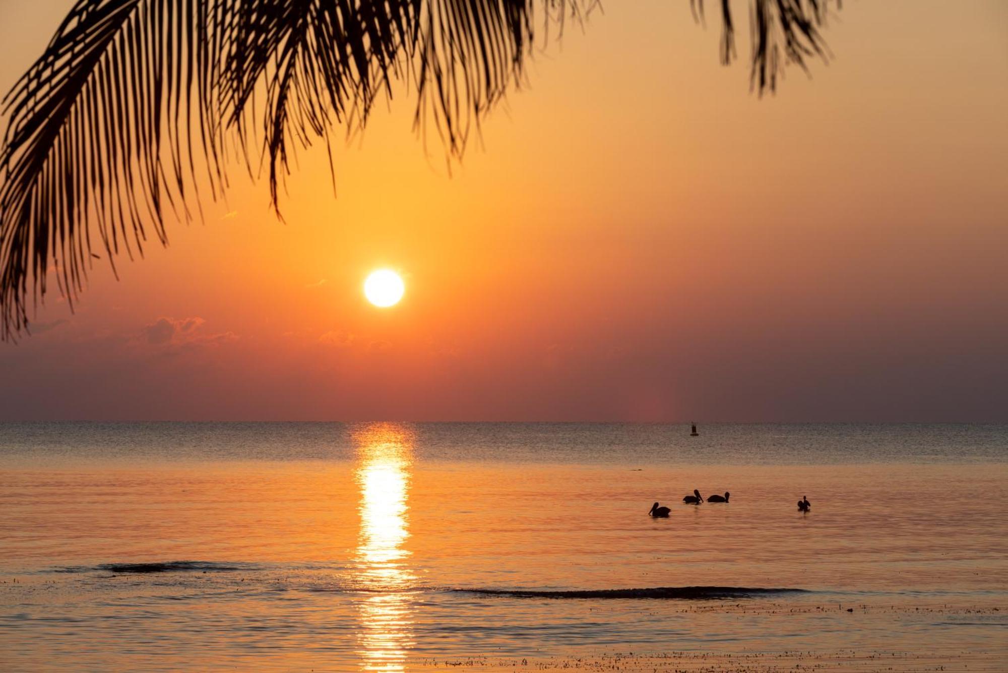 Blue Marlin Beach Resort Дангрига Екстериор снимка