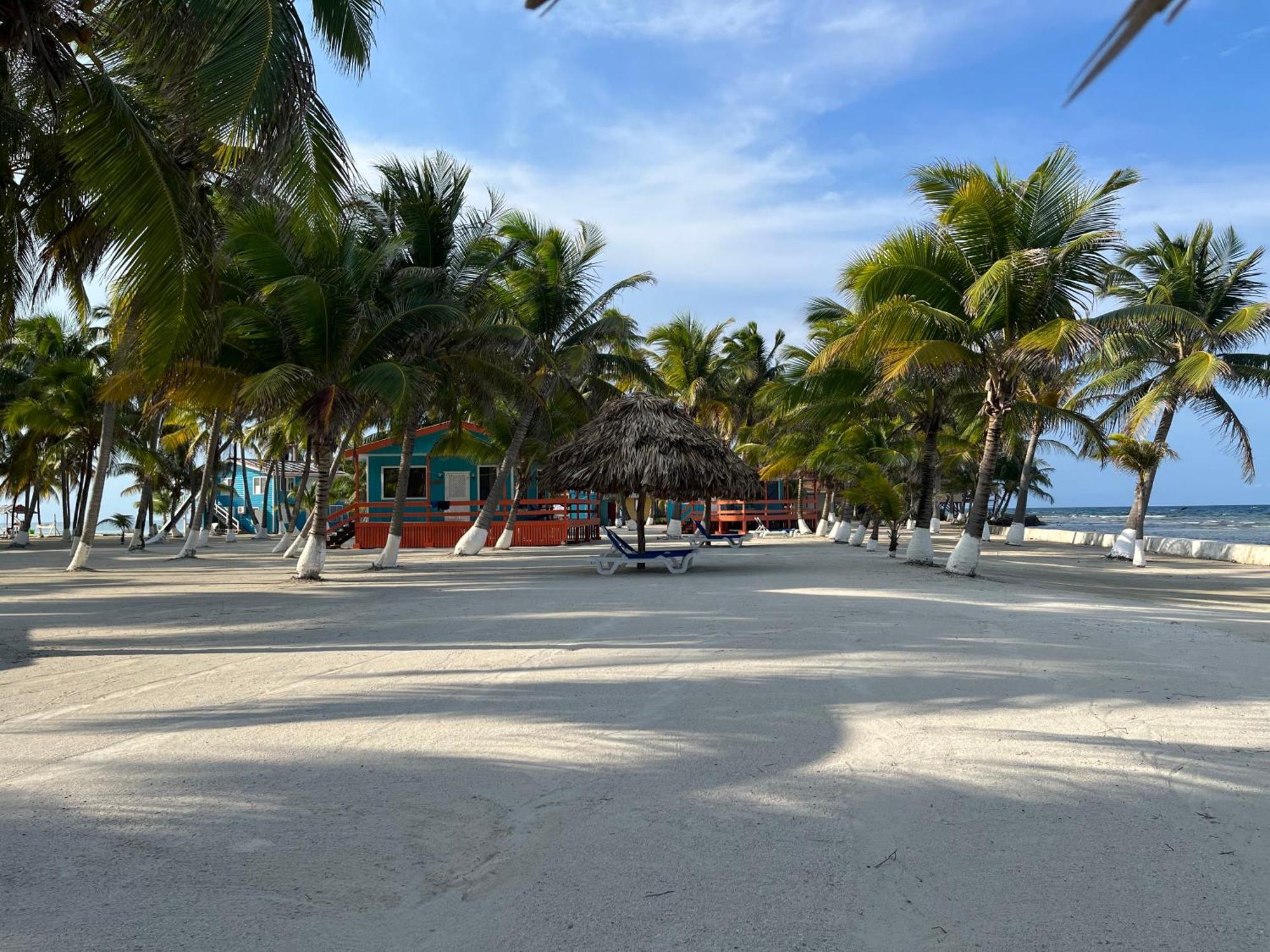 Blue Marlin Beach Resort Дангрига Екстериор снимка